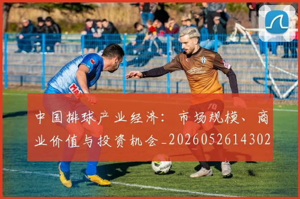 中国排球产业经济:市场规模、商业价值与投资机会_20260526143026_20260702201924