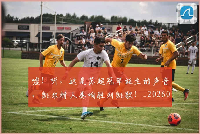 嘘!听,这是苏超冠军诞生的声音,凯尔特人奏响胜利凯歌!_20260703222542